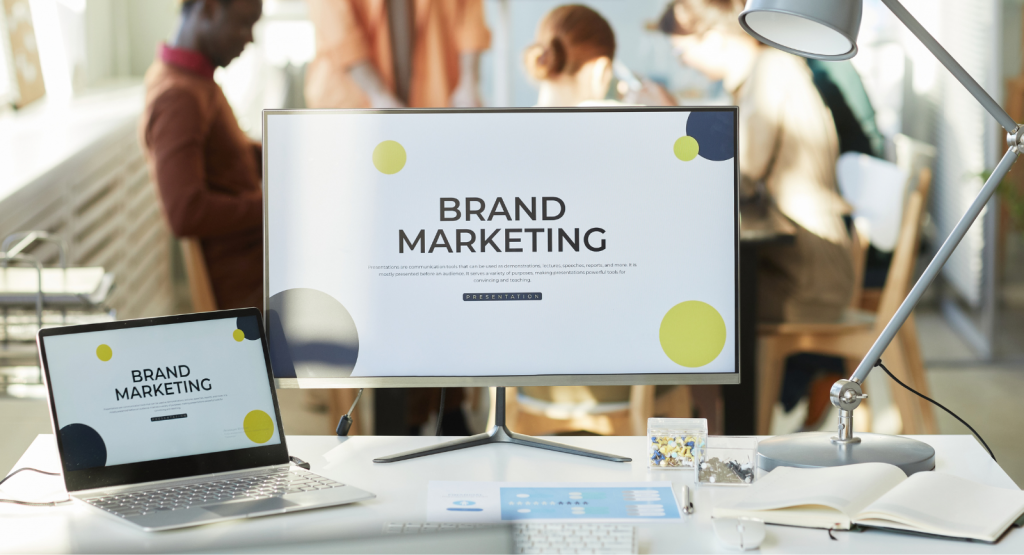 Brand Strategy for SMBs: The Three Pillars of Expert Audience Connection